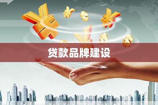 安塞贷款品牌建设