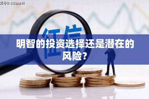 安塞明智的投资选择还是潜在的风险？