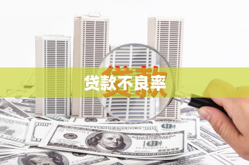 安塞贷款不良率
