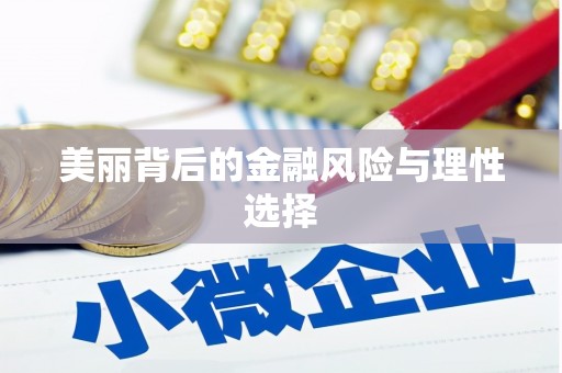 安塞美丽背后的金融风险与理性选择