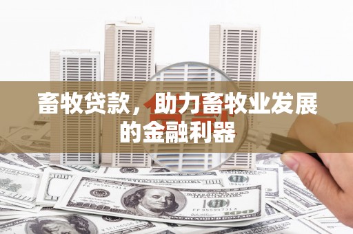 安塞畜牧贷款，助力畜牧业发展的金融利器
