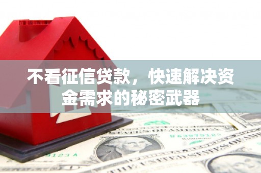 安塞不看征信贷款，快速解决资金需求的秘密武器