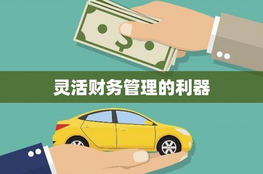 安塞灵活财务管理的利器
