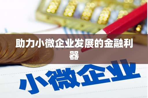安塞助力小微企业发展的金融利器