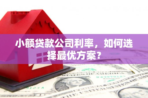 安塞小额贷款公司利率，如何选择最优方案？