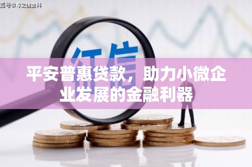 安塞平安普惠贷款，助力小微企业发展的金融利器
