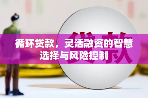 安塞循环贷款，灵活融资的智慧选择与风险控制