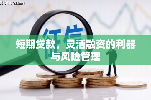 安塞短期贷款，灵活融资的利器与风险管理