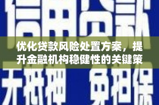安塞优化贷款风险处置方案，提升金融机构稳健性的关键策略