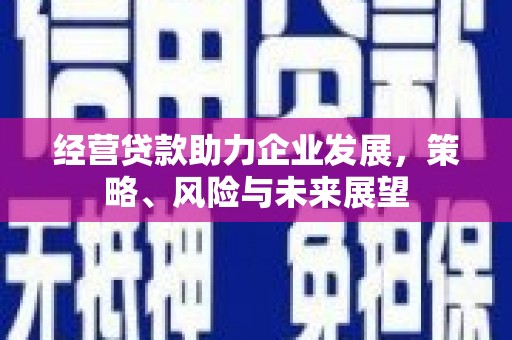 安塞经营贷款助力企业发展，策略、风险与未来展望