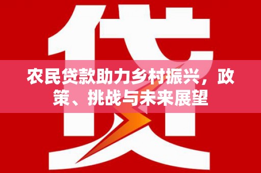 安塞农民贷款助力乡村振兴，政策、挑战与未来展望