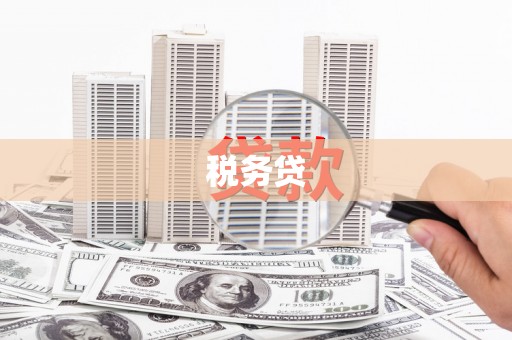安塞税务贷