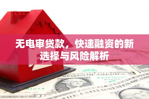 安塞无电审贷款，快速融资的新选择与风险解析