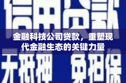 安塞金融科技公司贷款，重塑现代金融生态的关键力量
