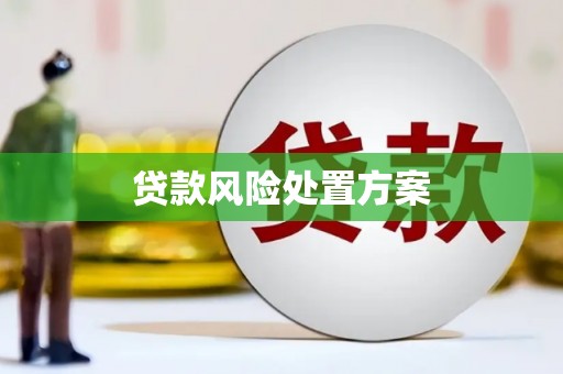 安塞贷款风险处置方案