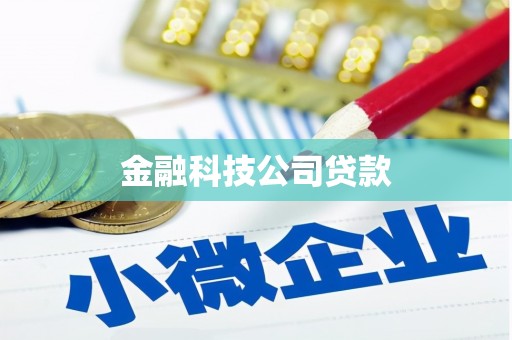 安塞金融科技公司贷款