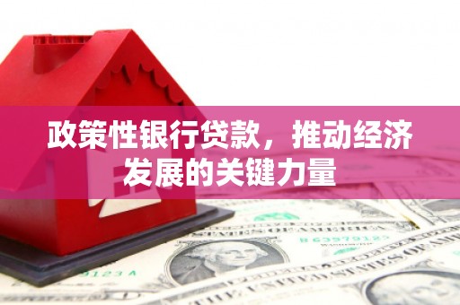 安塞政策性银行贷款，推动经济发展的关键力量