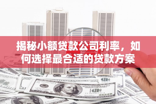 安塞揭秘小额贷款公司利率，如何选择最合适的贷款方案