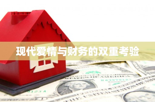 安塞现代爱情与财务的双重考验