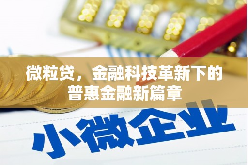 安塞微粒贷，金融科技革新下的普惠金融新篇章