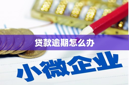 安塞贷款逾期怎么办