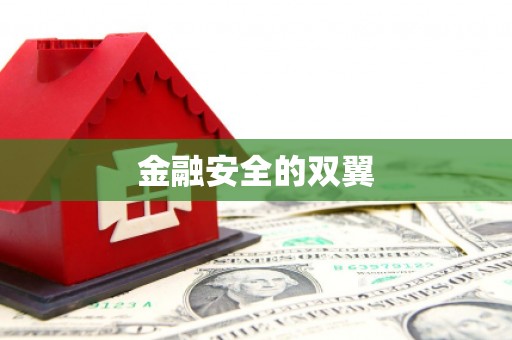 安塞金融安全的双翼