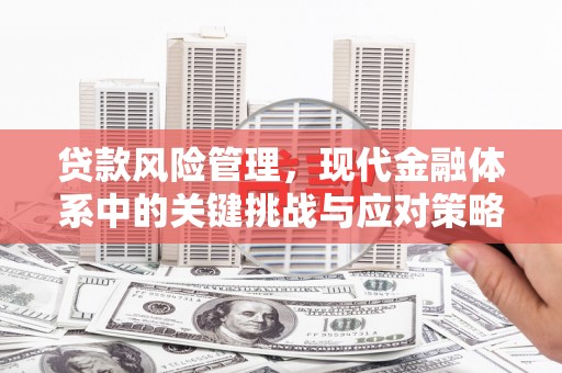 安塞贷款风险管理，现代金融体系中的关键挑战与应对策略