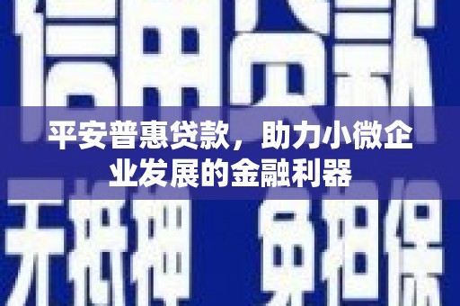 安塞平安普惠贷款，助力小微企业发展的金融利器