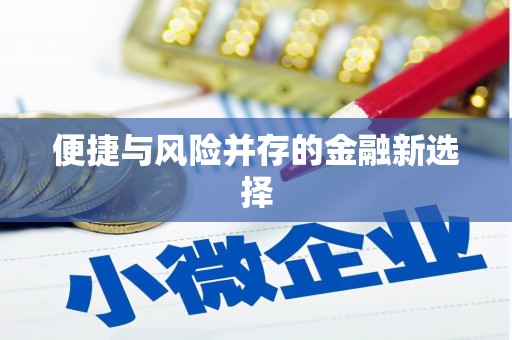 安塞便捷与风险并存的金融新选择