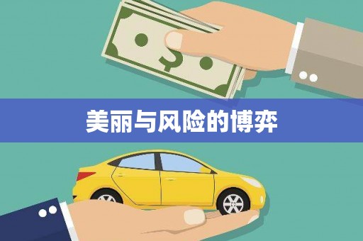 安塞美丽与风险的博弈