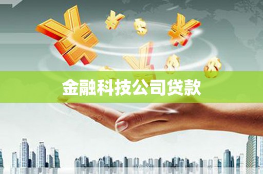 安塞金融科技公司贷款