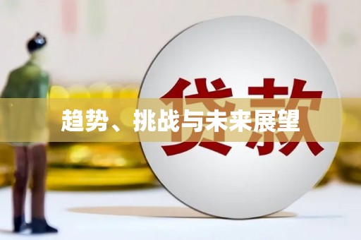 安塞趋势、挑战与未来展望